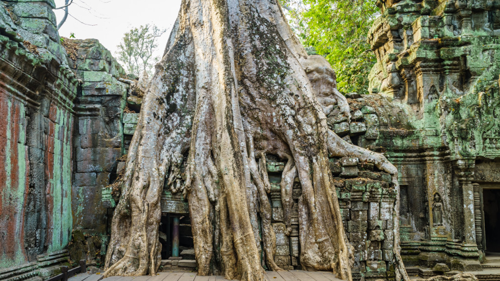 Angkor Wat, Kambodscha, Cambodia, Sieam Reap, Ta Prohm